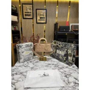 Premium Christian Dior Tote Bag With Box Dust Bag For Women (SL1142)