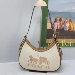 Premium Coach Sling Bag With Folding Box For Women (TB64)