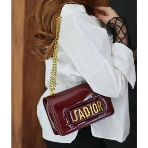 Christian Dior Shoulder Bag Pre-Owned JA Leather With Box For Women (SZ797)