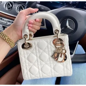 Stylish Christian Dior Leather Handbag Matte White With Og Box & Dust Bag For Women (SZ798)