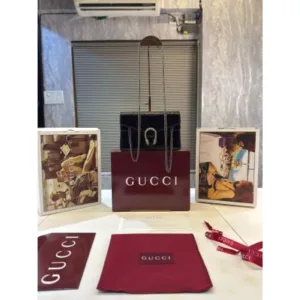 Premium Gucci Dionysus Bag With Double Box For Women (TB20)
