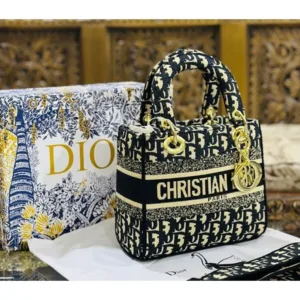 Premium Christian Dior Sling Bag With Box Dust Bag For Women (TB72)